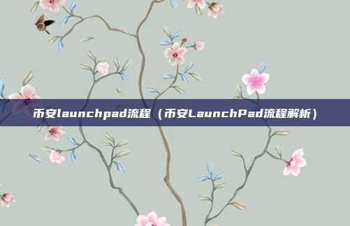 币安launchpad流程（币安LaunchPad流程解析）