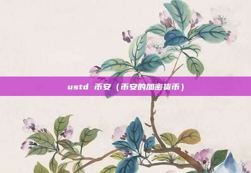 ustd 币安（币安的加密货币）