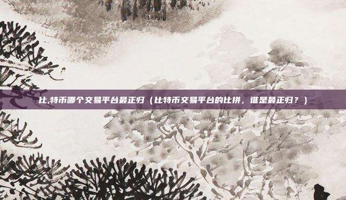 比,特币哪个交易平台最正归（比特币交易平台的比拼，谁是最正归？）