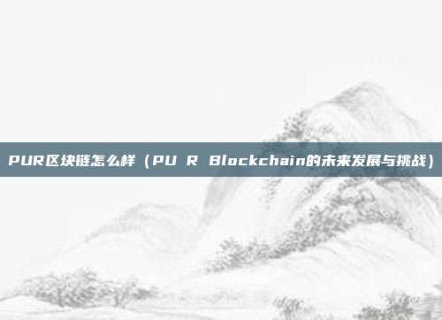 PUR区块链怎么样（PU R Blockchain的未来发展与挑战）