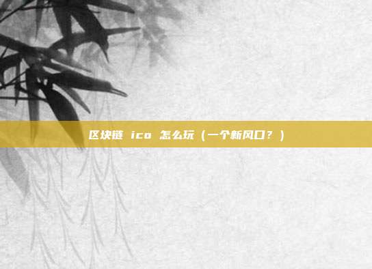 区块链 ico 怎么玩（一个新风口？）