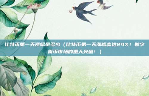 比特币第一天涨幅是多少（比特币第一天涨幅高达24%！数字货币市场的重大突破！）