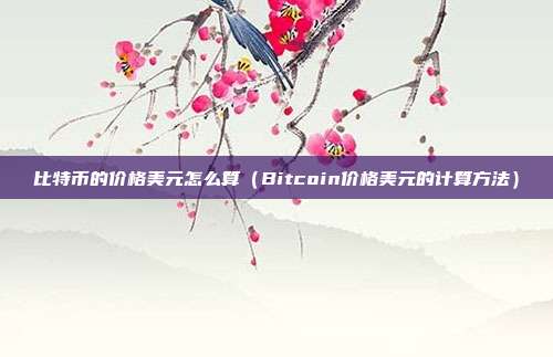 比特币的价格美元怎么算（Bitcoin价格美元的计算方法）