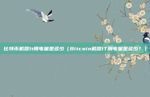 比特币机器1t用电量是多少（Bitcoin机器1T用电量是多少？）