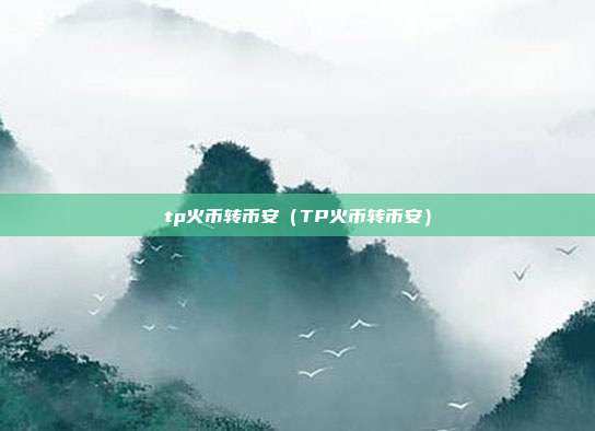 tp火币转币安（TP火币转币安）