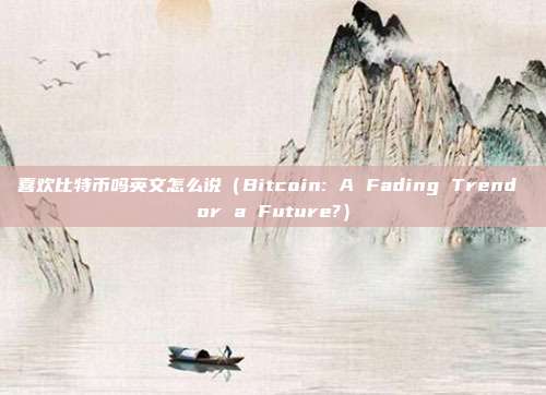 喜欢比特币吗英文怎么说（Bitcoin: A Fading Trend or a Future?）