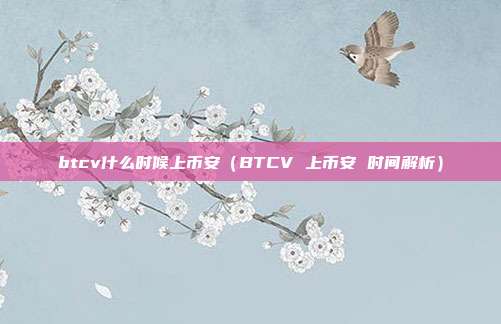 btcv什么时候上币安（BTCV 上币安 时间解析）