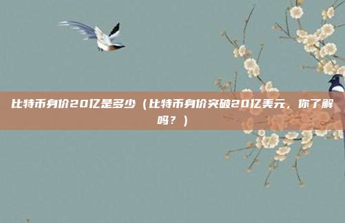 比特币身价20亿是多少（比特币身价突破20亿美元，你了解吗？）