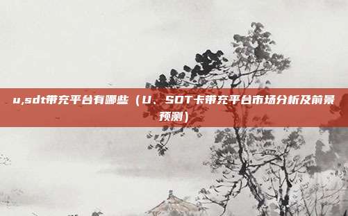 u,sdt带充平台有哪些（U、SDT卡带充平台市场分析及前景预测）