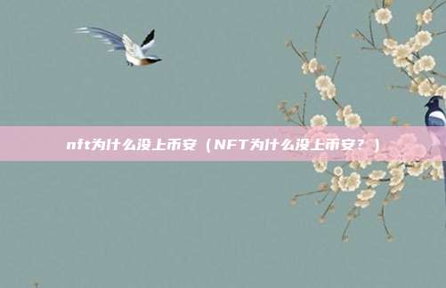 nft为什么没上币安（NFT为什么没上币安？）