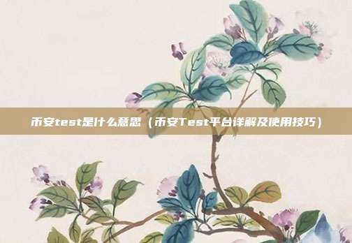 币安test是什么意思（币安Test平台详解及使用技巧）