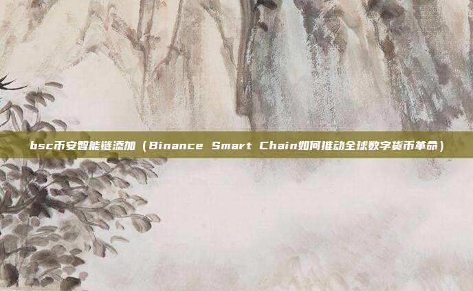 bsc币安智能链添加（Binance Smart Chain如何推动全球数字货币革命）