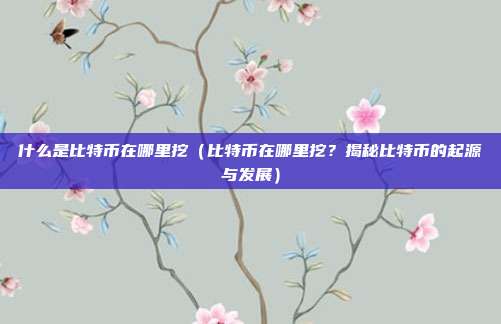 什么是比特币在哪里挖（比特币在哪里挖？揭秘比特币的起源与发展）