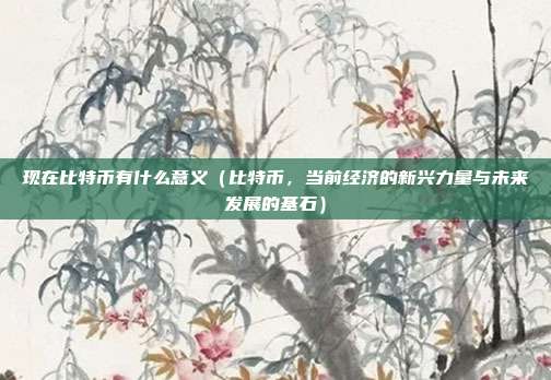 现在比特币有什么意义（比特币，当前经济的新兴力量与未来发展的基石）