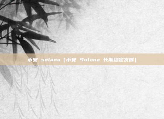 币安 solana（币安 Solana 长期稳定发展）