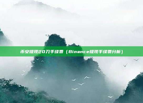 币安提现20刀手续费（Binance提现手续费分析）