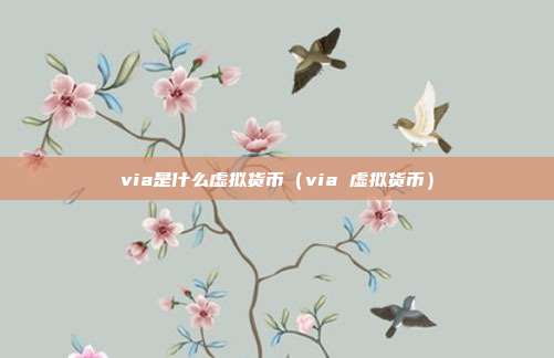 via是什么虚拟货币（via 虚拟货币）