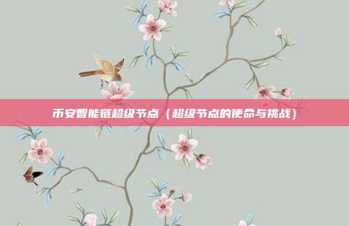 币安智能链超级节点（超级节点的使命与挑战）