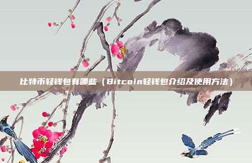 比特币轻钱包有哪些（Bitcoin轻钱包介绍及使用方法）