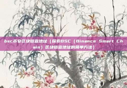 bsc币安区块链查地址（探索BSC（Binance Smart Chain）区块链查地址的简单方法）