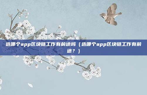 选哪个app区块链工作有前途吗（选哪个app区块链工作有前途？）