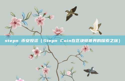 stepn 币安投资（Stepn Coin在区块链世界的探索之旅）