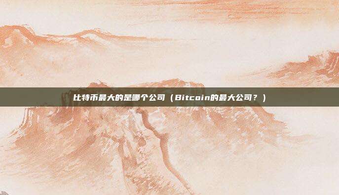 比特币最大的是哪个公司（Bitcoin的最大公司？）