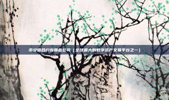 币安链合约有哪些公司（全球最大的数字资产交易平台之一）