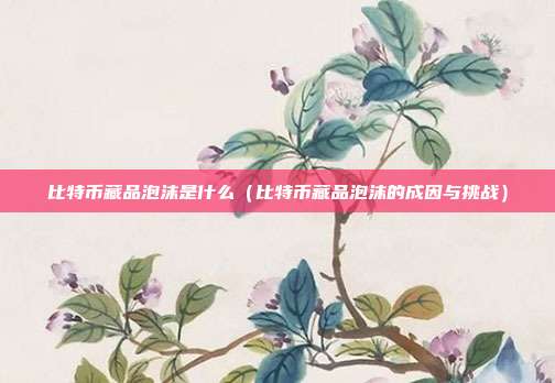 比特币藏品泡沫是什么（比特币藏品泡沫的成因与挑战）