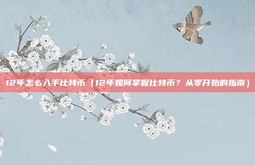 12年怎么入手比特币（12年如何掌握比特币？从零开始的指南）