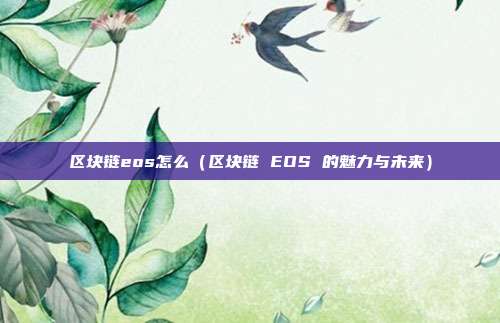 区块链eos怎么（区块链 EOS 的魅力与未来）