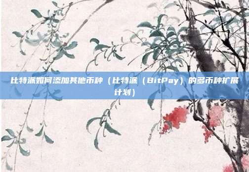 比特派如何添加其他币种（比特派（BitPay）的多币种扩展计划）