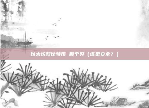 以太坊和比特币 哪个好（谁更安全？）