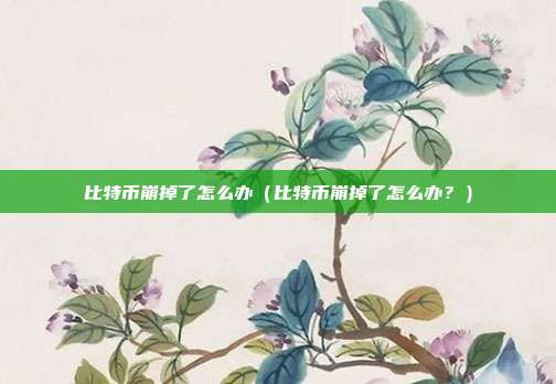 比特币崩掉了怎么办（比特币崩掉了怎么办？）