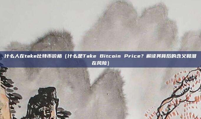 什么人在take比特币价格（什么是Take Bitcoin Price？解读其背后的含义和潜在风险）