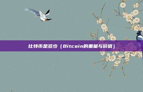 比特币是多少（Bitcoin的重量与价值）