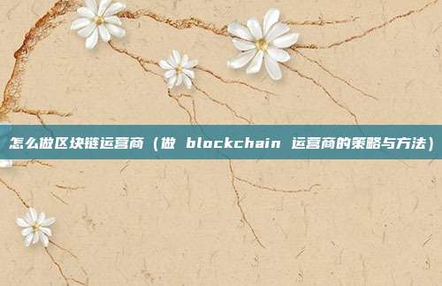 怎么做区块链运营商（做 blockchain 运营商的策略与方法）