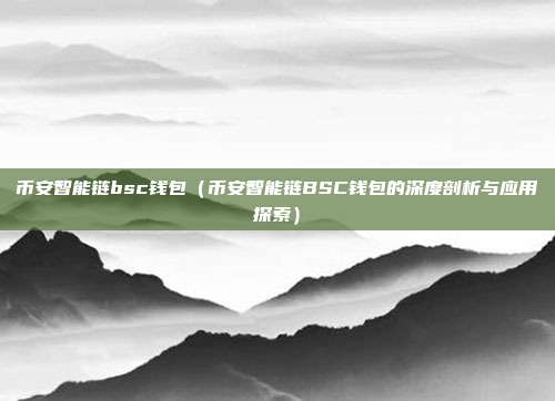 币安智能链bsc钱包（币安智能链BSC钱包的深度剖析与应用探索）