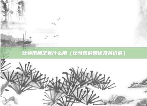 比特币都是有什么用（比特币的用途及其价值）