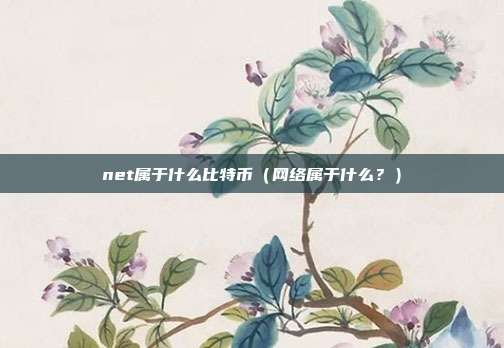 net属于什么比特币（网络属于什么？）