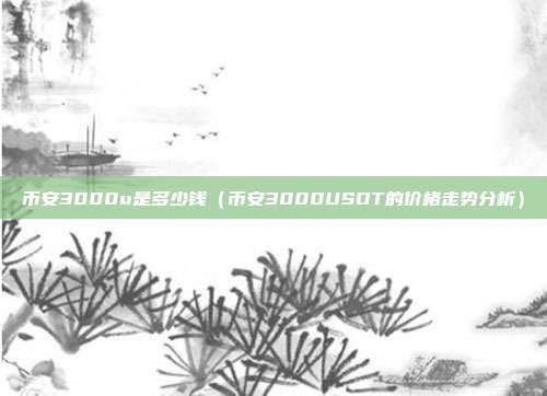 币安3000u是多少钱（币安3000USDT的价格走势分析）