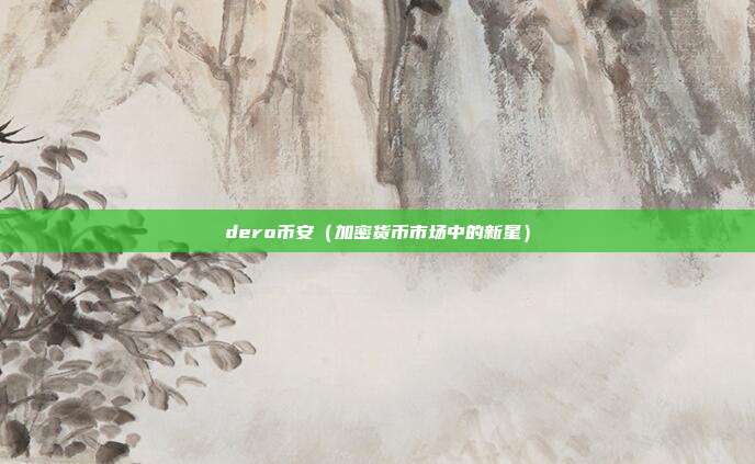 dero币安（加密货币市场中的新星）