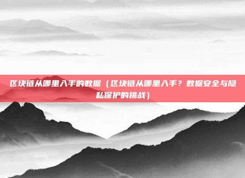 区块链从哪里入手的数据（区块链从哪里入手？数据安全与隐私保护的挑战）