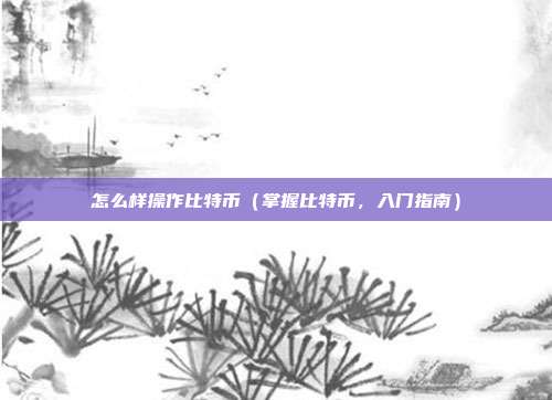 怎么样操作比特币（掌握比特币，入门指南）