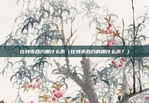 比特币合约用什么币（比特币合约的用什么币？）