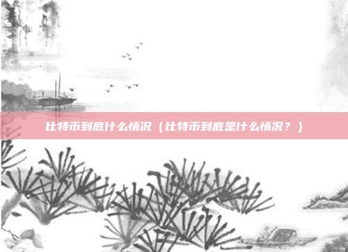 比特币到底什么情况（比特币到底是什么情况？）