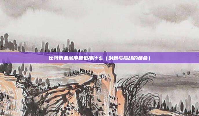 比特币金融项目包括什么（创新与挑战的结合）