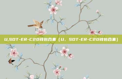 U,SDT-ER-C20钱包合集（U、SDT-ER-C20钱包合集）