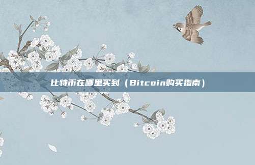 比特币在哪里买到（Bitcoin购买指南）