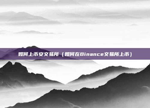 如何上币安交易所（如何在Binance交易所上币）